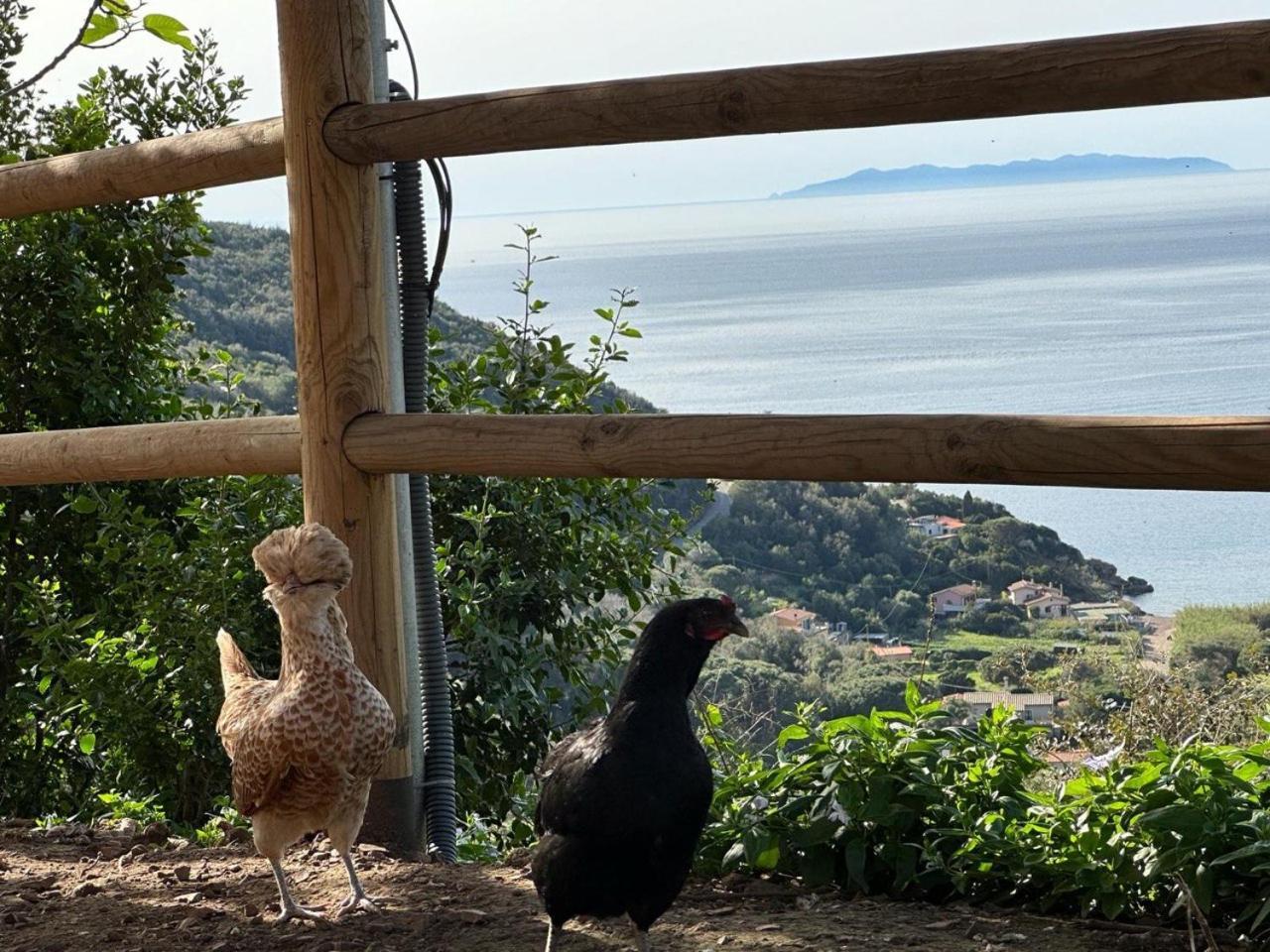 Agriturismo Paradisa Rio dellʼElba Exteriér fotografie