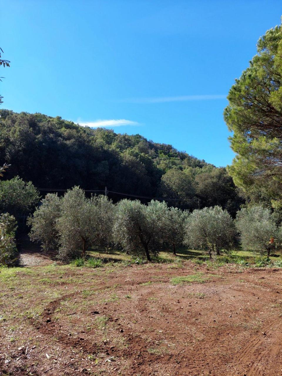 Agriturismo Paradisa Rio dellʼElba Exteriér fotografie