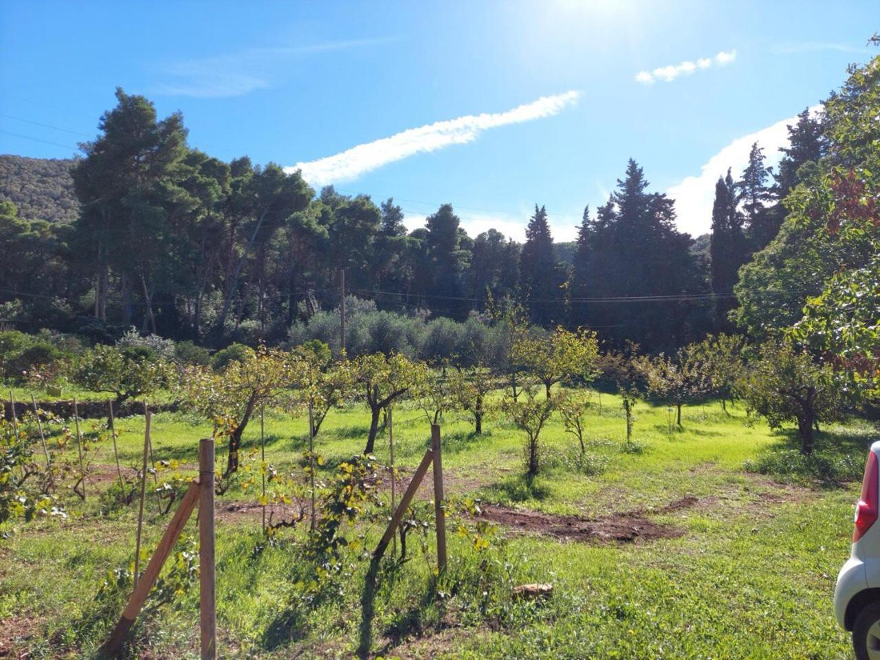 Agriturismo Paradisa Rio dellʼElba Exteriér fotografie