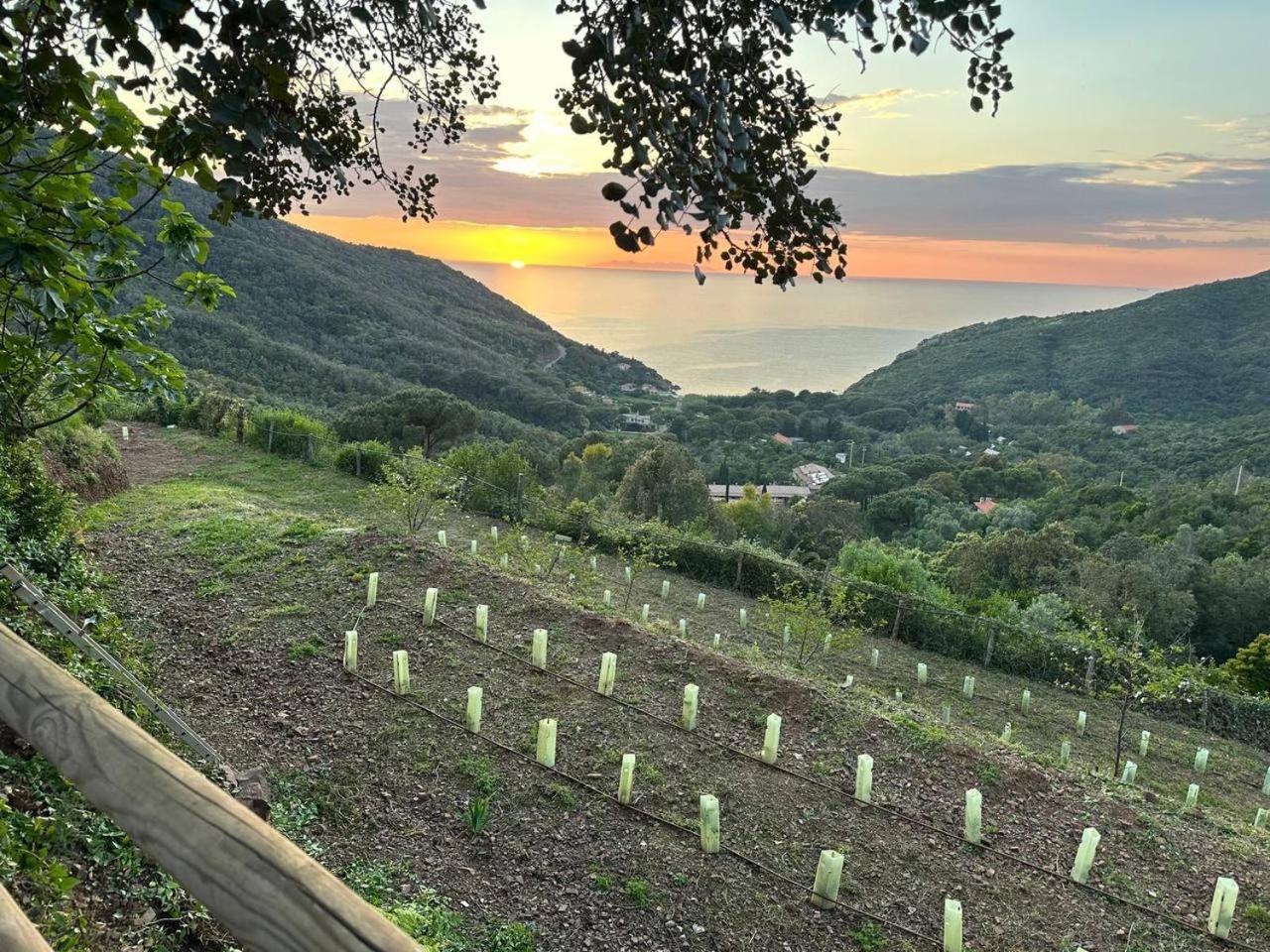 Agriturismo Paradisa Rio dellʼElba Exteriér fotografie